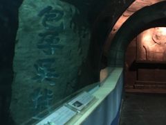 -苏州海洋馆