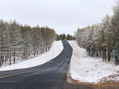 -塞罕坝国家级自然保护区