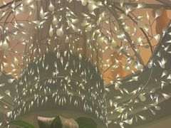 -润园四季椰子鸡火锅(海上世界店)