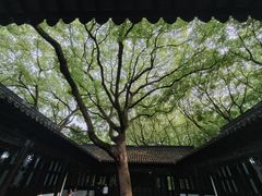 -上海醉白池公园