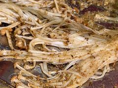 -古彭7只羊·招牌白串·碳锅羊肉旗舰店