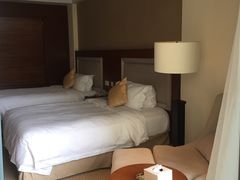 -宜春明月山维景国际温泉度假酒店