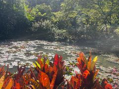 -野象谷景区