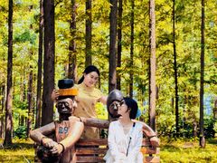 -黄海国家森林公园