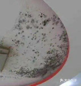 想安心入夏？先搞定墙面