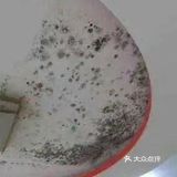 想安心入夏？先搞定墙面