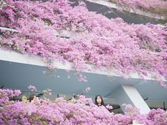 -深圳市中科院仙湖植物园