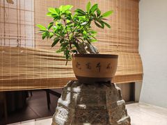 -长禧家·珑厨(东山口店)