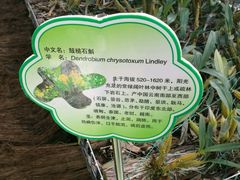 -嬉乐湾休闲旅游区