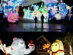 -海合安成都极地海洋公园