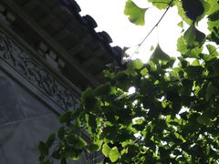 -东山雕花楼