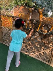 -萌宠亲子动物乐园(槐房万达店)