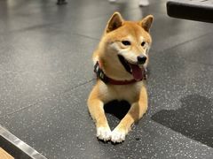 -YCHL Studios健身工作室(市二宫店)
