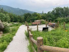 -白水寺森林公园
