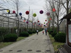-菊园百果园