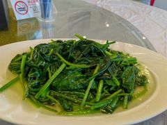 -明珠湖天鹅苑·农家菜馆