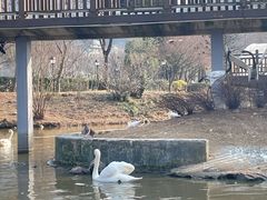 -无锡动物园·太湖欢乐园