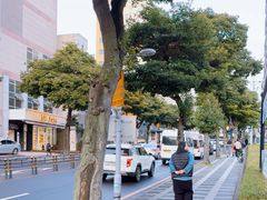 -宝健路步行街(Pedestrian Shopping Street)