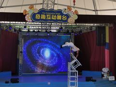 -史努比缤纷世界