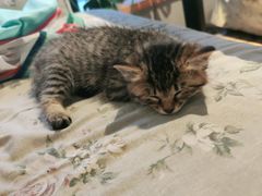 -么么咖啡(燕郊店)