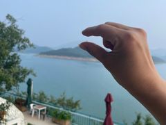 -望湖烤鱼