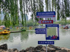-团结湖公园