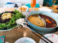 -青瓷火锅料理(西单大悦城店)
