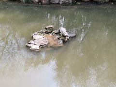 -上海野生动物园