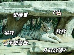 -北京野生动物园