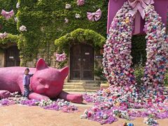 -青岛方特梦幻王国