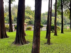 -晓港公园