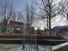 -南宫五洲植物乐园