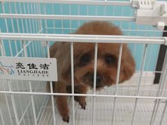 -天宠宠物医院24小时·急重症诊疗中心·全科·腔镜特色(和平分院)