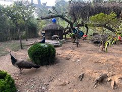 -西霞口神雕山野生动物世界