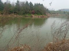 -艾溪湖湿地公园