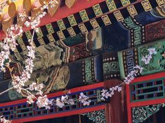 -颐和园