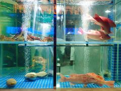 -海派悦庭·海胆烧麦·新融合菜(凯德广场店)