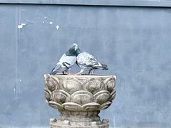 -真如寺