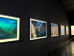 -罗红摄影艺术馆