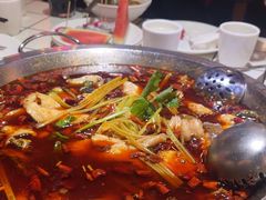 -蛙一刀·麻椒鱼火锅(金仙桥店)