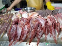 -三亚新鸿港水果一级批发市场