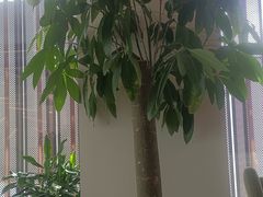 -WeWork中国(三里屯11号社区店)