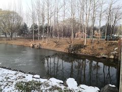 -大兴滨河森林公园