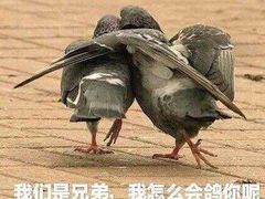 -老金家蛋菜夹馍(西安总店)