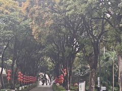 -厦门悦华酒店