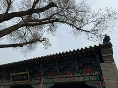 -护国法轮寺