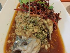 -杨氏青龙虾·羊蝎子(金盛路总店)