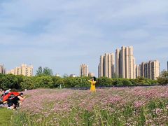 -菊园百果园