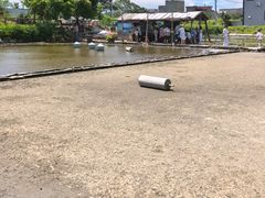 -盐洲岛