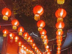 -巴倒烫陆派火锅山庄(南山总店)